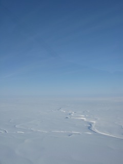 In many places above the tree line, the Arctic is a world of vast white.