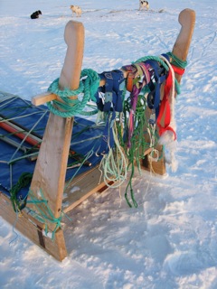 Rear of dog sled with various ropes, tow lines, and harnesses.