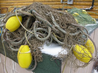 Gill nets are often used by subsistence users of the land to catch salmon, pike, and whitefish