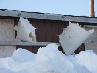 Seal skins for sewing clothing that have been scraped and dried, now being bleached white by the sun and wind.