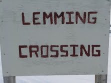  Lemmings inhabit the Arctic; and, presumably, are numerous enough to require a road crossing sign near Eureka Weather Station.