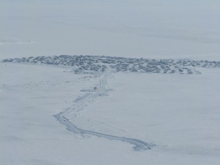 The community of Cambridge Bay, Nunavut.
