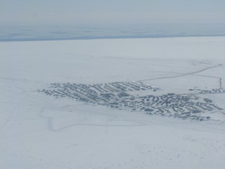 Nunavut, near the western ice edge of Hudson Bay.