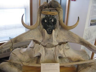 A Cambridge Bay display using the horns of a musk ox and whale vertebrae.