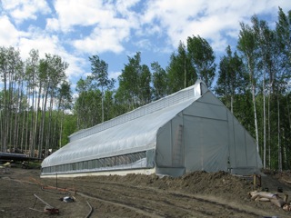 Greenhouses, taking full advantage of the Land of the Midnight Sun, produce a multitude of vegetable crops.