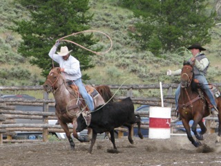 Team calf roping, Wyoming